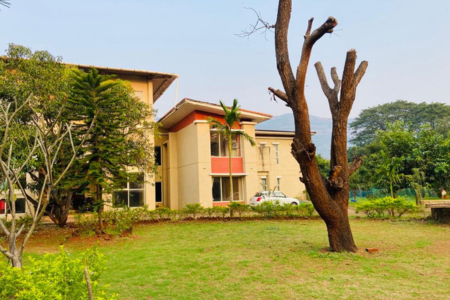 Hilltop Haven Bungalow