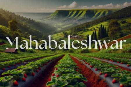 Image of Mahabaleshwar